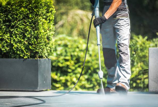 Trusted Ina, IL Pressure Washing Services Experts